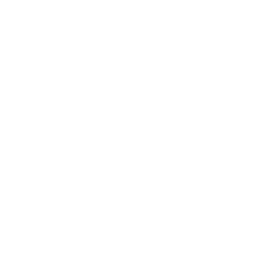 icon social