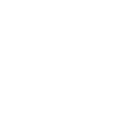 icon social